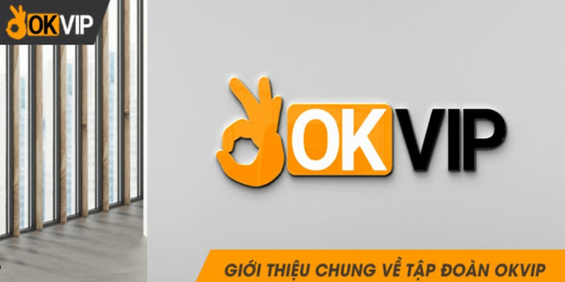 Trang chủ OVIP 1 Giới thiệu chung về tập đoàn OKVIP
