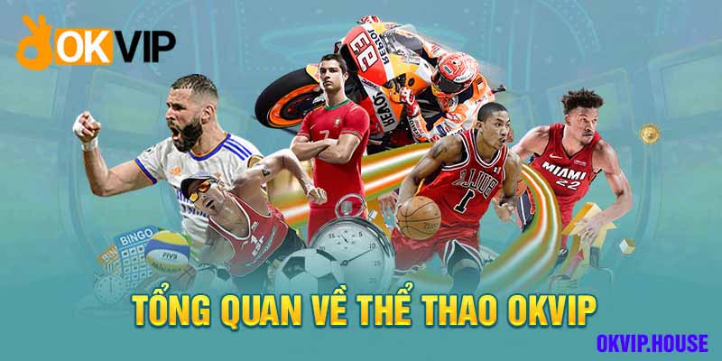 Chuyên mục thể thao sẽ cung cấp nhiều thông tin cho anh em