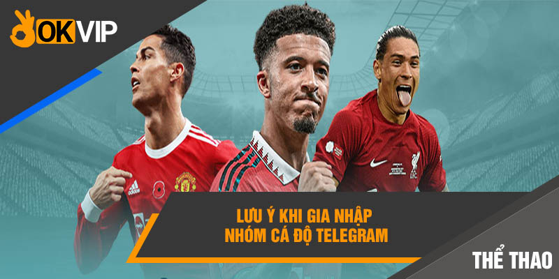 Nhóm Cá Độ Bóng Đá Telegram Okvip Uy Tín Số 1 Thị Trường 4 Lưu ý khi gia nhập nhóm cá độ Telegram