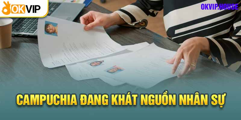 Top 4 Công Việc Lương Cao Tại Campuchia Để Bạn Thử Sức 2 Nhân viên IT - Công việc lương cao tại Campuchia