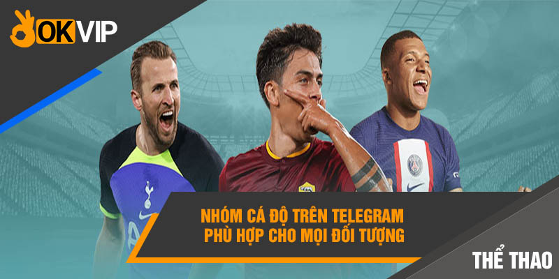 Nhóm Cá Độ Bóng Đá Telegram Okvip Uy Tín Số 1 Thị Trường 2 Nhóm cá độ trên Telegram phù hợp cho mọi đối tượng