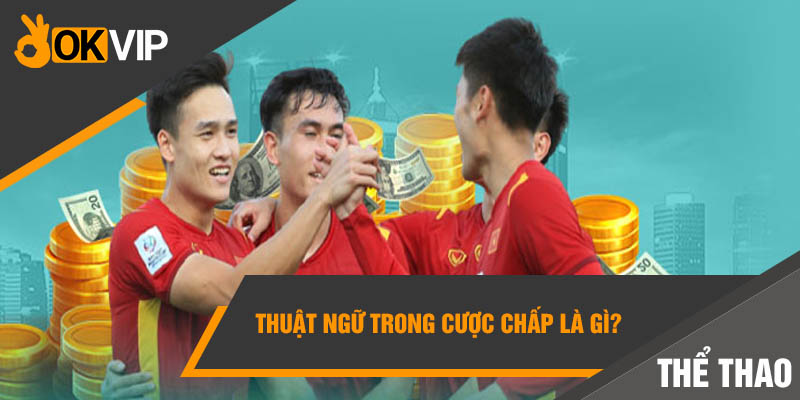 Cá cược chấp là gì? Hướng dẫn CHƠI THÔNG MINH - OKVIP 2 Thuật ngữ trong cược chấp là gì?