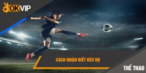 cách nhận biết kèo dụ